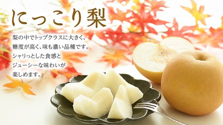 【 JA 北つくば 】 筑西ブランド 認証品 梨 3種 定期便 セット 2026年産 先行予約 [AE031ci]