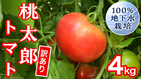 【 訳あり 】 地下水100％で作る美味しい 「 桃太郎トマト 」 4kg 野菜 桃太郎 トマト とまと 地下水 ミネラル [DU010ci]