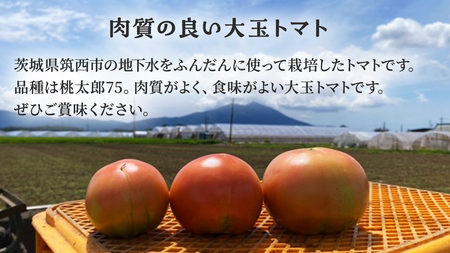 【 訳あり 】 地下水100％で作る美味しい 「 桃太郎トマト 」 4kg 野菜 桃太郎 トマト とまと 地下水 ミネラル [DU010ci]