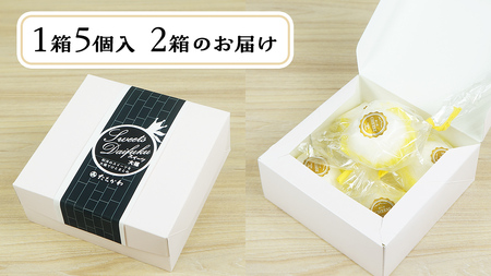 【 菓子庵たちかわ 】 おいもっ チーズ 大福 10個 ( 5個入 × 2箱 ) [AY016ci]