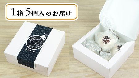 【 菓子庵たちかわ 】 キャラメル ショコラ 餅 大福 5個 ( 5個入 × 1箱 ) [AY017ci]