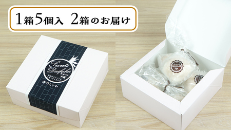 【 菓子庵たちかわ 】 キャラメル ショコラ 餅 大福 10個 ( 5個入 × 2箱 ) [AY018ci]