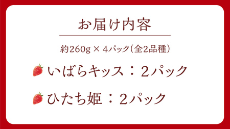 【 茨城いちごグランプリ 受賞 農園 】 完熟 いちご 2品種 食べ比べ セット [DY002ci]