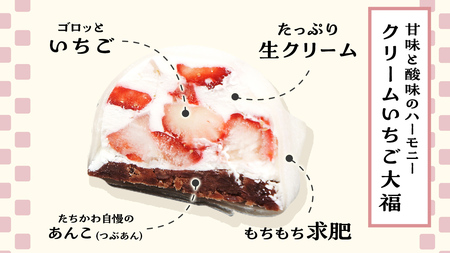 【 菓子庵たちかわ 】 スイーツ大福 人気 2種 セット (5個入 × 2箱) [AY022ci]