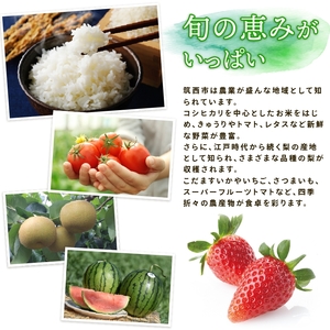 【 JA北つくば 】 常陸牛 切り落とし 1.2kg 茨城県共通返礼品