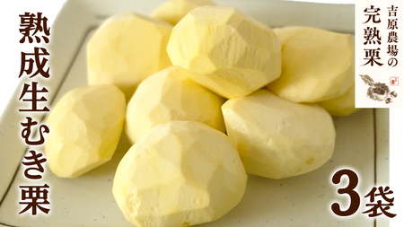 【 吉原農場 の 完熟栗 】 熟成 生むき栗 3袋 ( 120g × 3袋 ) [CX019ci]