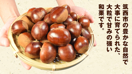 谷口農場 】 つやつや 大粒 熟成 生栗 2kg ( 3Lサイズ ) [EC001ci