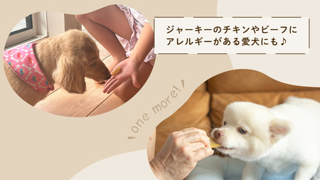 【 塚田商店 】 犬用 干し芋 シロタ 100g × 4袋 ドックフード ペットフード 犬 国産 無添加 さつまいも 芋 おやつ 和菓子 いも イモ 工場直送 マツコの知らない世界 [BD031ci]