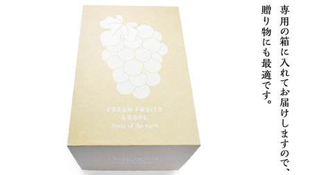 ハウス栽培 の シャインマスカット 2房 ( 約1kg?1.2kg ) 令和8年産 先行予約 [EK002ci]