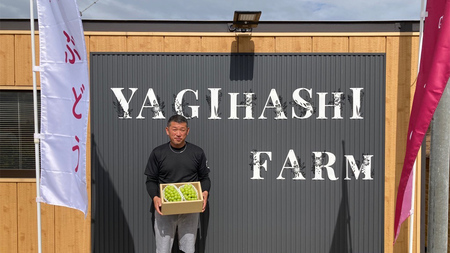 ハウス栽培 の シャインマスカット 2房 ( 約1kg?1.2kg ) 令和8年産 先行予約 [EK002ci]