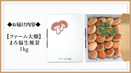 【 ファーム大畑 】 まろ福生椎茸 1kg [AK004ci]