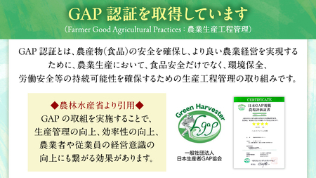 【 ファーム大畑 】 まろ福生椎茸 1kg [AK004ci]