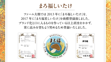 【 ファーム大畑 】 まろ福生椎茸 1kg [AK004ci]