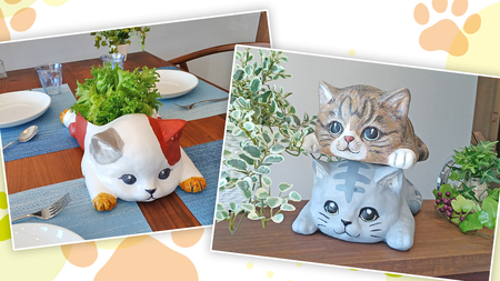 おえかきにゃんこ の 水耕栽培キット [EM001ci]