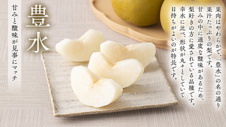 梨 2種 ( 幸水 ＆ 豊水 各10kg 合計20kg ) 定期便 セット 2026年産 先行予約 なし [AE023ci]