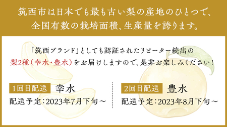 梨 2種 ( 幸水 ＆ 豊水 各10kg 合計20kg ) 定期便 セット 2026年産 先行予約 なし [AE023ci]