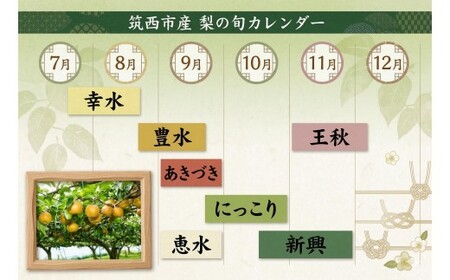 梨 2種 ( 幸水 & 豊水 各10kg 合計20kg ) 定期便 セット 2026年産 先行予約 なし