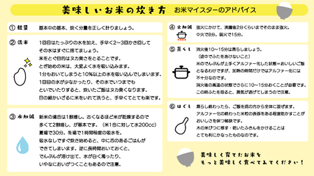 茨城県 筑西市産 にじのきらめき 10kg ( 障がい者アート パッケージ ) ( 5kg × 2袋 ) 令和6年産 精米 米 お米 コメ 白米 茨城県 筑西市 三ツ星 マイスター [CH023ci]