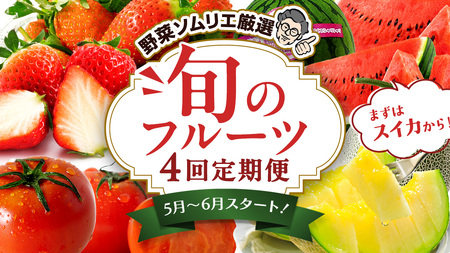 【 野菜ソムリエ 厳選 】 旬 の フルーツ 定期便 ( こだまスイカ スタート ) 4回 先行予約 [AF101ci]