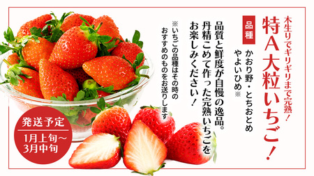 【 野菜ソムリエ 厳選 】 旬 の フルーツ 定期便 ( こだまスイカ スタート ) 4回 先行予約 [AF101ci]