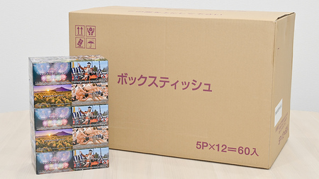 スピード発送!! 筑西市PR ボックスティッシュ 60箱 ( 5個入り × 12セット ) [EN001ci]