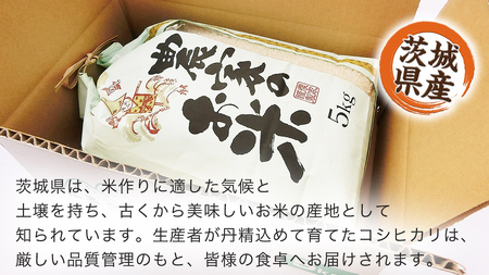 【 産地直送 】 茨城県産 無洗米 コシヒカリ 5kg 令和6年産 精米 米 お米 コメ 白米 こしひかり [CZ011ci]
