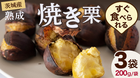 【 吉原農場 の 完熟栗 】 熟成 焼き栗 3袋  ( 200g × 3袋 ) [CX020ci]