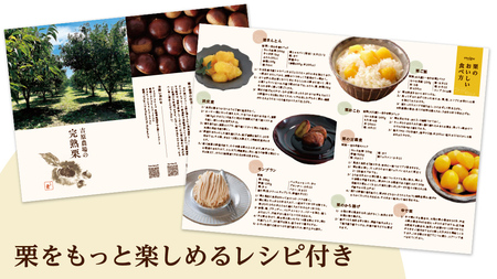 【 吉原農場 の 完熟栗 】 熟成 焼き栗 3袋  ( 200g × 3袋 ) [CX020ci]