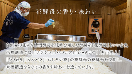 【 来福酒造 】 花酵母 飲み比べ セット ( 300ml × 3本 ) さくら酵母 ポピー酵母 ひまわり酵母 日本酒 酒 お酒 [AM024ci]