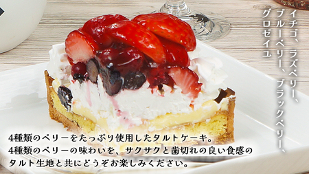 【 菓子庵たちかわ 】 いちごのタルトケーキ 5号 [AY026ci]