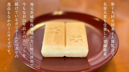 もち入り 「 館最中 」 3個 ( ミニサイズ ) [AO024ci]