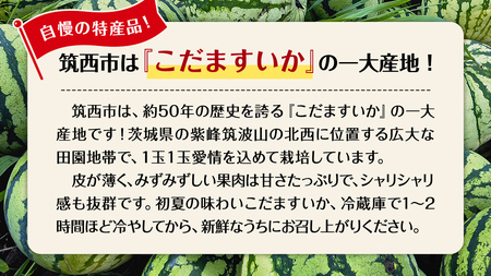 【 JA北つくば 】 こだますいか 「 スウィートキッズ 」 1玉