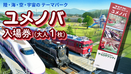 陸・海・空・宇宙の テーマパーク ユメノバ 入場券 （大人1枚） ザ・ヒロサワ・シティ チケット レジャー ヒロサワシティ お出かけ 夏休み 冬休み [DP009ci]