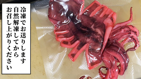 筑西市名物 煮イカ（一杯） いか 筑西 茨城 ソウルフード ご当地グルメ 名物 海鮮 魚介 冷凍 ［BW088ci］