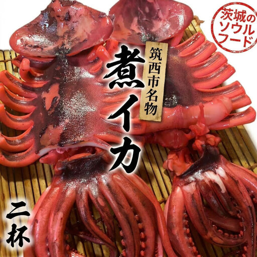 筑西市名物 煮イカ（二杯） いか 筑西 茨城 ソウルフード ご当地グルメ 名物 海鮮 魚介 冷凍 ［BW089ci］