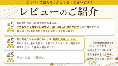 【12/14入金確認分まで年内配送】【 吉原農場 の 完熟栗 】 熟成 生むき栗 3袋・栗きんとん 1箱 セット [CX024ci]