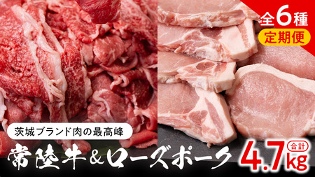 【 茨城ブランド肉の最高峰 】ローズポーク ＆ 常陸牛 贅沢 定期便 ( 全6種 ) [AE083ci]