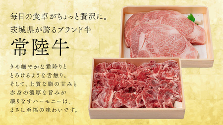 【 茨城ブランド肉の最高峰 】ローズポーク ＆ 常陸牛 贅沢 定期便 ( 全6種 ) [AE083ci]