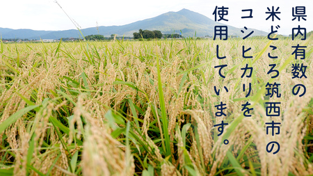 無洗米 コシヒカリ 真空 300g ( 2合 ) × 15袋 [EX001ci]