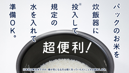 無洗米 コシヒカリ 真空 300g ( 2合 ) × 15袋 [EX001ci]