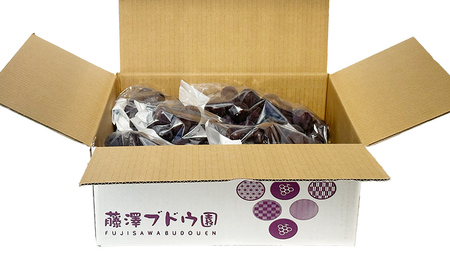 【 藤澤ブドウ園 】 自慢 の 巨峰 約2kg 2026年産 先行予約 [AH002ci]