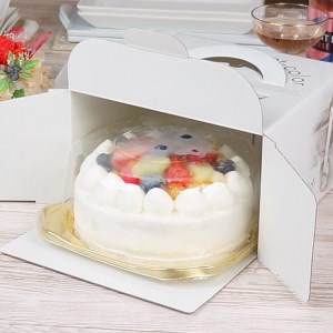 【 先行予約 】 フルーツ 生デコレーション ケーキ （ 冷凍 ） バースデー 誕生日 記念日 果物 [AY003ci]