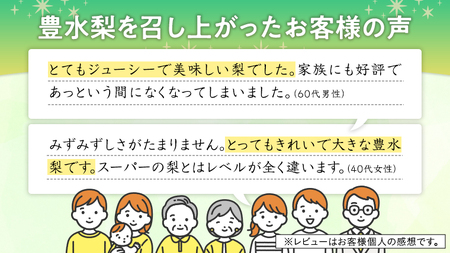 【 JA 北つくば 】 筑西ブランド 認証品 豊水 5kg 2025年産 先行予約 梨 果物 フルーツ なし ナシ [AE010ci]