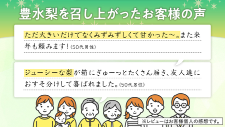 【 JA 北つくば 】 筑西ブランド 認証品 豊水 5kg 2025年産 先行予約 梨 果物 フルーツ なし ナシ [AE010ci]