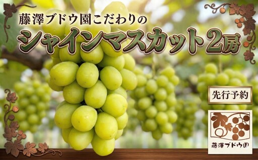 【 藤澤ブドウ園 】 こだわり の シャインマスカット 2房 [AH003ci]
