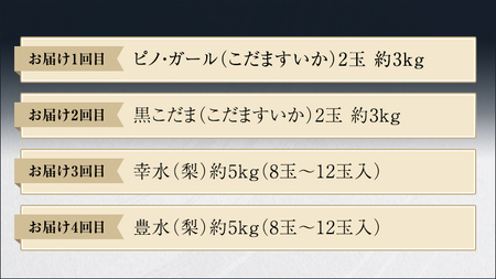 【 筑西ブランド 認証品 】 旬のフルーツ 定期便 ( ミニコース ) 2026年産 先行予約 幸水 豊水 こだまスイカ 黒こだま ピノ・ガール 果物 フルーツ [AE013ci]