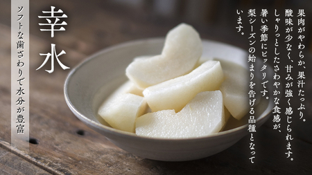 【 筑西ブランド 認証品 】 旬のフルーツ 定期便 ( ミニコース ) 2026年産 先行予約 幸水 豊水 こだまスイカ 黒こだま ピノ・ガール 果物 フルーツ [AE013ci]