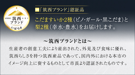 【 筑西ブランド 認証品 】 旬のフルーツ 定期便 ( 満足コース )  2026年産 先行予約 幸水 豊水 こだまスイカ 黒こだま ピノ・ガール 果物 フルーツ [AE012ci]