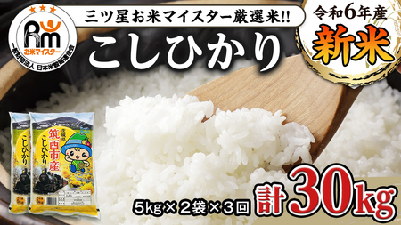 【 定期便 3ヶ月 】 茨城県筑西市産 コシヒカリ10kg 三ツ星 マイスター 米 コメ こしひかり 定期便3回 30kg 茨城県 単一米 精米  [CH008ci]