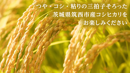 定期便 3ヶ月 】 茨城県 筑西市産 コシヒカリ 10kg ( 5kg × 2袋 ) 令和6年産 三ツ星 マイスター 米 コメ こしひかり 定期便3回 30kg  茨城県 単一米 精米 新生活 応援 [CH008ci] | 茨城県筑西市 | ふるさと納税サイト「ふるなび」